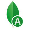 MongoDB Atlas