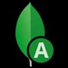 MongoDB Atlas